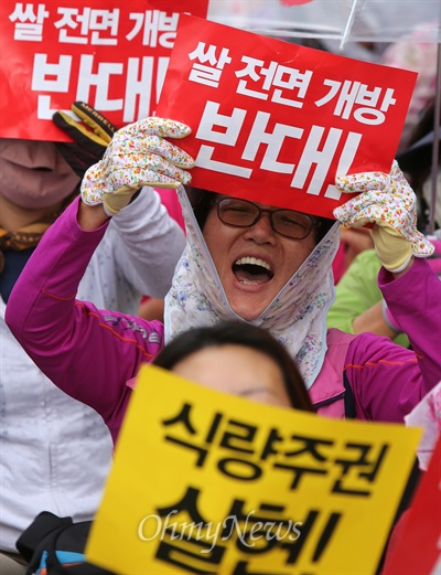 28일 오후 서울 청계광장에서 '쌀 전면개방 반대! 식량주권과 먹거리 안전을 위한 1차 범국민대회'가 열리고 있다.