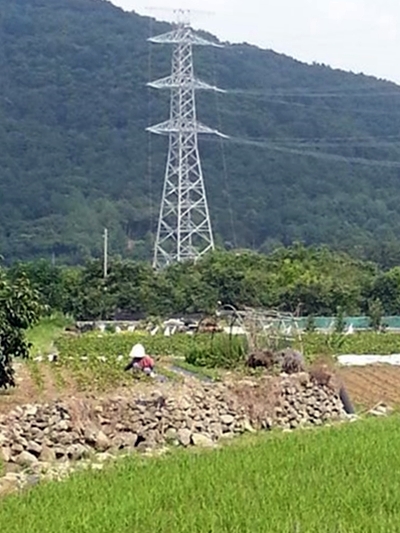 여수마을에 건설되고 있는 송전탑. 그 아래에서는 한 주민이 밭을 매고 있다. 