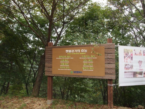 대전시 계족산은 14.5km의 맨발산책 코스로 유명하다.