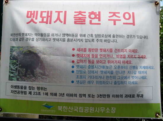 북한산 곳곳에서 볼 수 있는 현수막 중 하나인 '멧돼지 출현 주의'