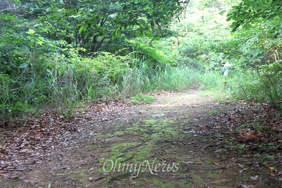  경남 양산과 울산 울주 사이에 있는 정족산의 무제치늪 방향으로 임도가 개설되어 있었는데, 폐쇄되어 철조문이 설치되어 있다. 그 뒤 임도는 나무와 수풀이 자라면서 이전 자연 상태로 복원되고 있었다.