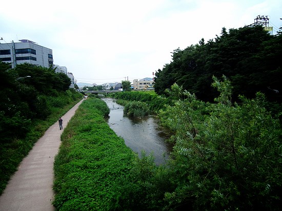 1980년대 서울 오염 하천의 대명사였던 안양천은 2000년대 지자체, 시민단체의 노력으로 자연에 가까운 하천으로 달바꿈하게 됐다. 