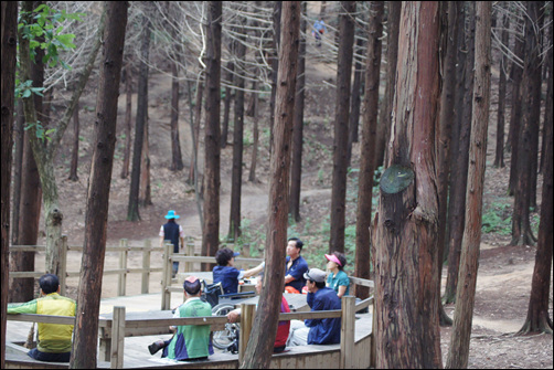 한 여름에도 피톤치드를 많이 내어주는 편백나무 숲은 사람들에게 인기다.