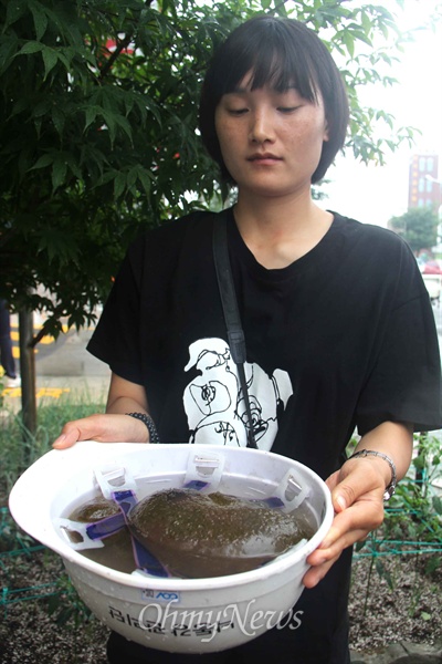 사진은 남지대교(국도25호선) 아래 낙동강에서 흉측한 큰빗이끼벌레를 발견해 헬멧에 담아 놓은 모습.