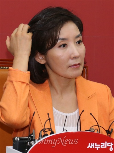나경원 전 새누리당 의원이 9일 오후 국회를 방문해 당의 뜻에 따라 서울 동작을 재보궐선거 출마권유를 수용한다고 밝혔다.