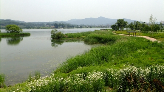 북한강변 자전거 길에서 가장 아름다웠던 진중 습지 공원 혹은 뱃나들이들. 