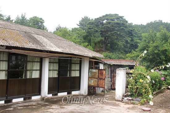  경남 사천 용현면 신복리 소재 '박연묵 교육박물관'에는 수령 200년된 소나무가 보호수로 지정되어 있다. 교육박물관에서 보이는 소나무가 보호수로 지정되어 있다.