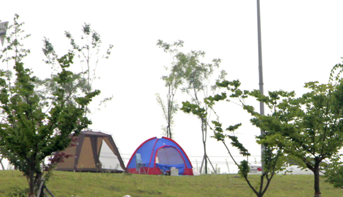 경인아라뱃길 주변 녹지에 설치된 텐트들.12일 현장에서 목격된 텐트들만 수십동이 됐다. 