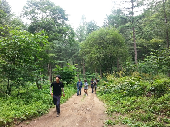 산길을 오르는 길, 양옆엔 온통 나물 군란지다.