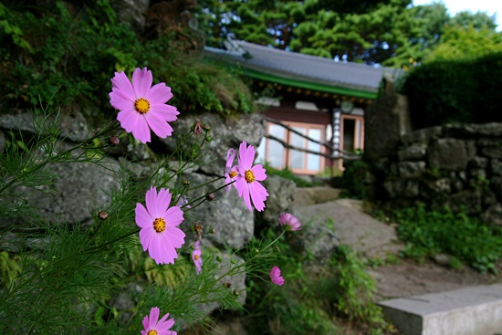  2008년 어느 여름날의 상무주암.