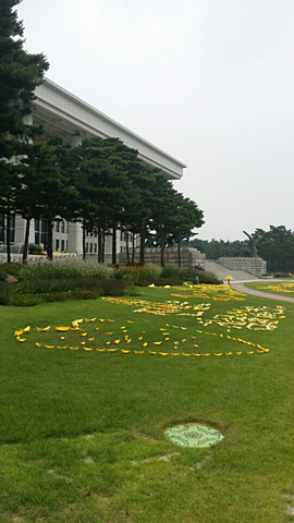  국회앞 노란 배들. 유가족들은 "아이들이 우리를 지키는 것 같아요"라고 말했다.