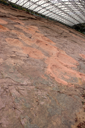 비바람으로부터 보호받고 있는 의성 제오리 공룡발자국 유적. 