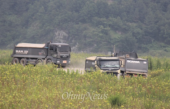 23일 덤프트럭들이 낙동강 수산교 위 둔치에 있는 일동적치장 준설토를 반출하는 작업을 벌이고 있다.