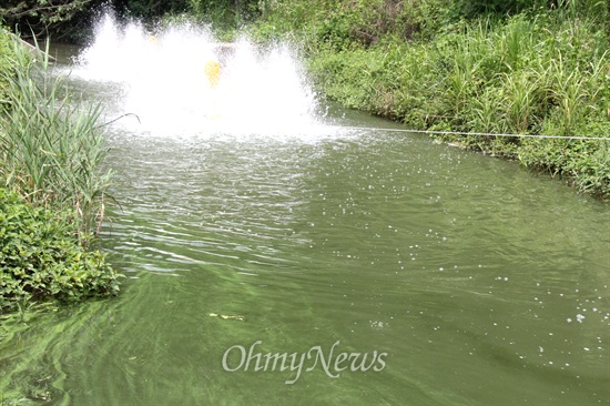 23일 낙동강 창녕합천보 상류 샛강 쪽에 녹조 발생을 억제시키기 위해 펌프기 2대를 가동하고 있지만 녹조가 발생해 있었다.