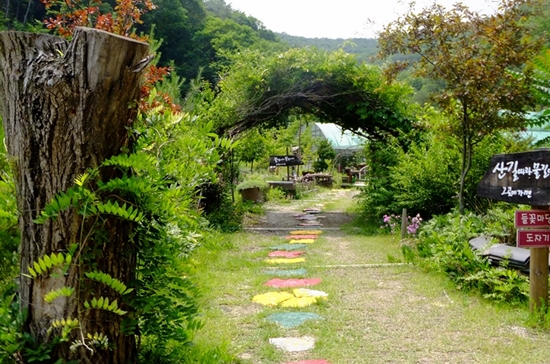 화천 산소길의 남쪽 끝 동구래 마을은 화사한 들꽃들의 정원이다. 
