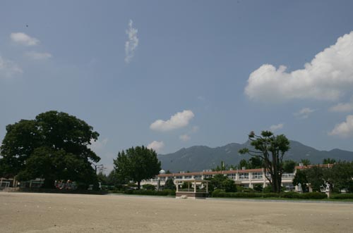  600살 넘은 느티나무를 보유하고 있는 한재초등학교 전경. 학교도 100년 가까운 역사를 지니고 있다.