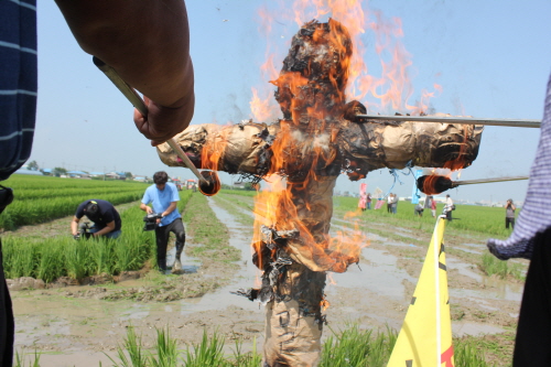 정부의 무기력한 농업정책에 항의하며 농민들은 농림부장관을 상질하는 허수아비를 불 태우는 퍼포먼스를 벌이기도 했다.