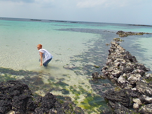 한 참가자가 갯담 밖에서 발을 담그고 있다. 얼핏보면 남태평양의 한 휴양지의 모습을 담은 사진 같다. 

