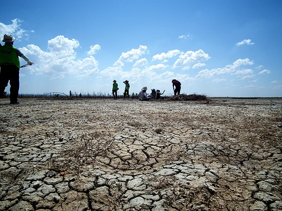 염분이 많은 내몽고의 호수가 말라버리면서 사막화가 진행되고 있다. 