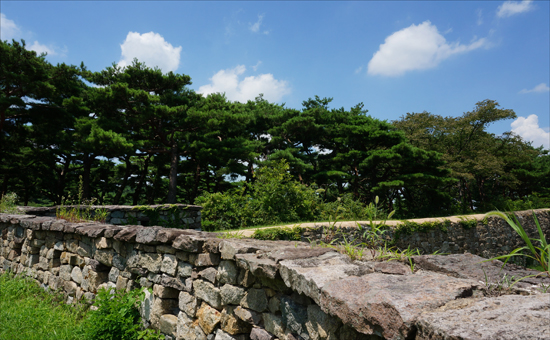 성곽에서 본 고창읍성(사적 제145호, 모양성) 소나무 숲 부분. 