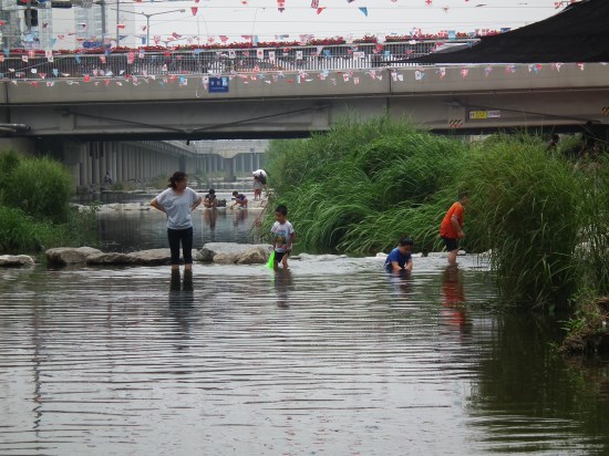 신림교와 봉림교 사이 도림천 구간에서 아이들이 엄마와 함께 물속에서 놀고 있다. 맑아진 도림천의 모습을 대변해 준다.