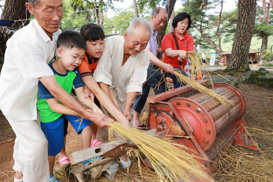  5일 '2014 함양 여주(쓴오이) 농촌문화 축제'의 하나로 열린 탈곡기 체험.
