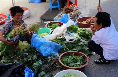 시종오일장 풍경. 장터에 나온 한 할머니가 쪼그리고 앉아 야채를 사고 있다.