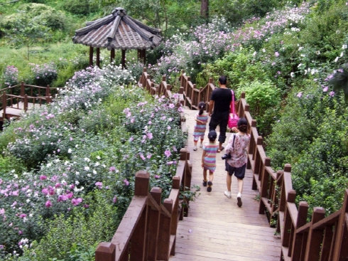 가평 아침고요수목원을 방문한 이용객들이 무둥화동산 산책로를 걷고 있다. 