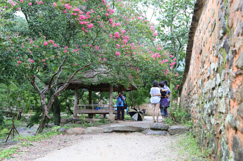 대봉대와 애양단. 진분홍색의 배롱나무 꽃도 활짝 피었다. 그 앞에서 여행객들이 기념사진을 찍고 있다.