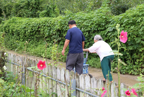 후산마을 풍경. 접시꽃 핀 골목길을 따라 할머니가 유모차에 의지해 걷고 있다.