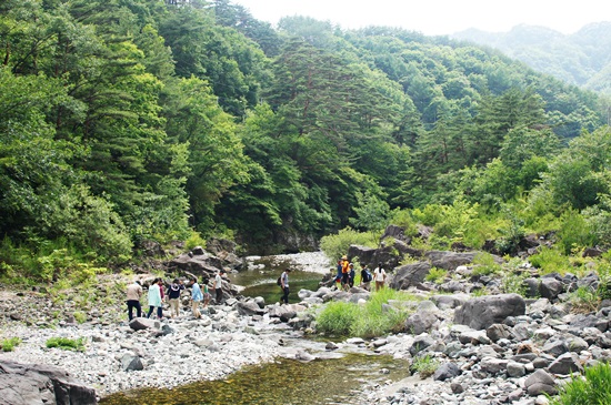 2014년 6월, 장파천 문화제에서 시민들이 함께 장파천을 걷고 있다.