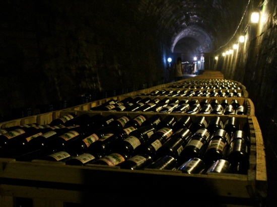  230m의 터널 끝자락까지 다래 와인 3만 병이 상자째로 물결치듯 함께했다. 