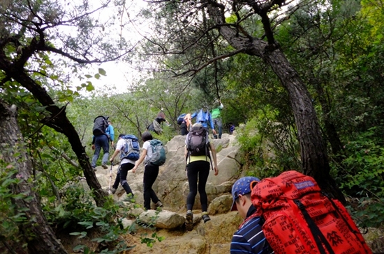 비봉 능선을 향해 오르막 숲길을 부지런히 오르는 등산객들.