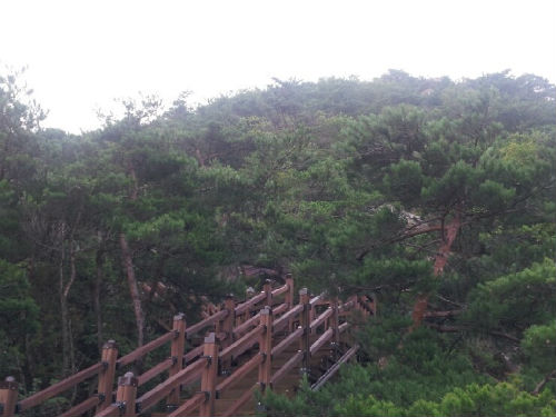 성주봉은 온통 암벽으로 이뤄져 있어 오르기 쉽지 않은 산이지만 나무계단으로 인해 노약자들도 쉽게 산을 찾을 수 있게 되었다. 