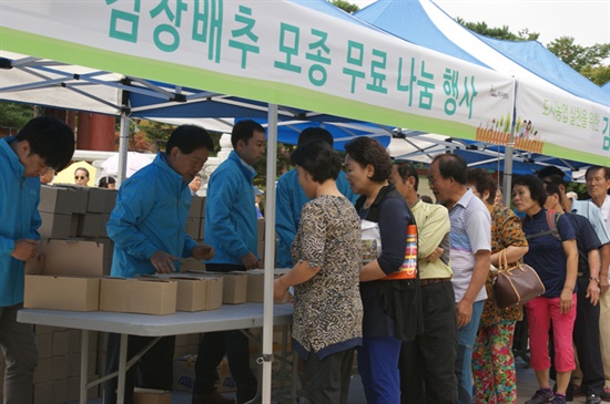 나눠주는 배추 모종을 받고 있는 시민들