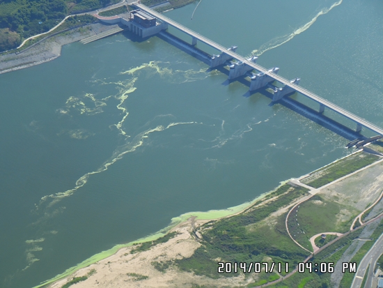 환경부가 지난 7월 11일 촬영한 낙동강 함안보 항공사진에서는 강변을 따라 이어진 선명한 녹조띠를 확인할 수 있다. 
