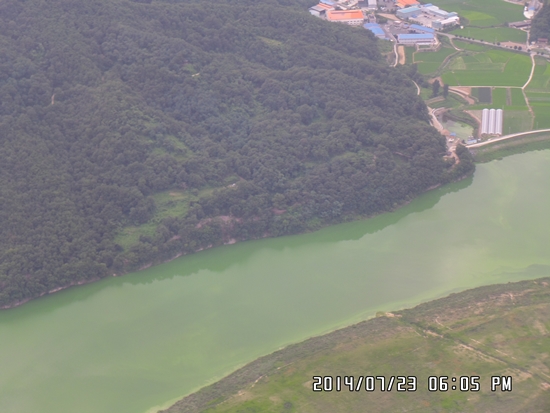 환경부가 지난 7월 23일 촬영한 낙동강 합천보 상류~달성보 하류 구간 사진을 살펴보면, 녹조 현상으로 인해, 강 색깔이 녹색으로 바뀌었다. 