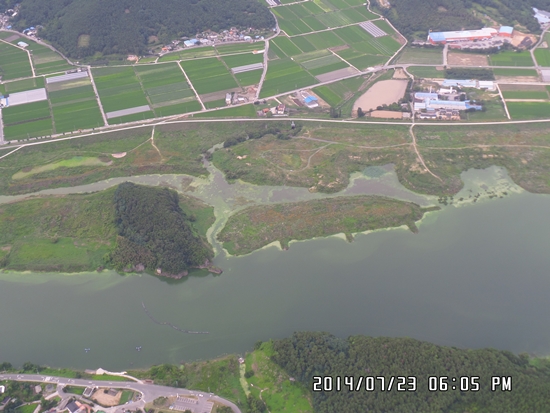 환경부가 지난 7월 23일 촬영한 대구 달성군 도동서원 인근 낙동강 사진을 살펴보면, 녹조현상이 심화되면서, 심각한 수질오염이 발생한 것으로 보인다.