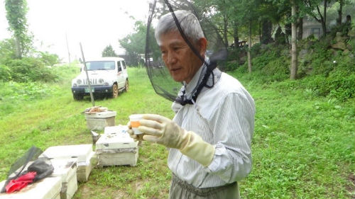 양봉이 단순히 벌을 이용해 꿀을 모으는 것이 아니라 인간과 벌의 협력이 있어야 하며 자연과 더불어 살아가는 삶의 현장을 잠시나마 체험했다.