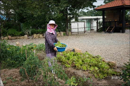  텃밭에서 일할 때도 조심