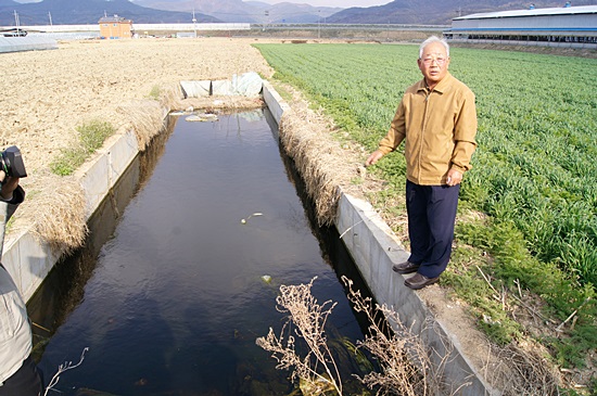 칠곡보 담수로 인근 약목면 덕산리 덕산들의 농지에도 지하수가 거의 농지 지표까지 차올랐다. 