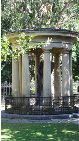 전쟁 중에 파괴된 바스크인의 상징인 참나무 거목의 남은 일부