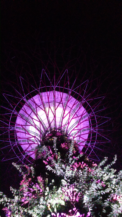 누워서 찍은 싱가폴 식물원탑. 이런 거대한 식물탑이 10개쯤 있었고 밤이면 여기서 다양한 빛의 꽃들이 움직이고 피었다.
