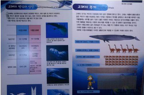 고래의 번식과 성장에 대해서 그리고 대왕고래의 예를 들어 길이와 무게를 다른 종들과 함께 비교해 놓고 있다.