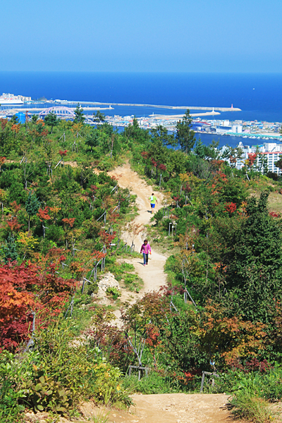 청대산 등산로, 그 너머로 멀리 바다가 내려다보인다.