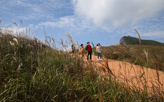  황매산 억새.