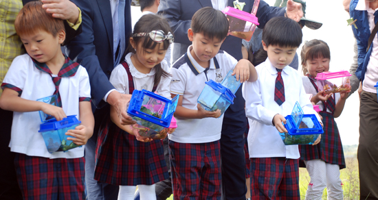 세종시 성모유치원 어린이들이 포획한 금개구리를 놓아주고 있다.
