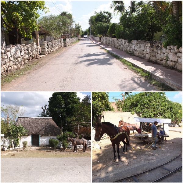 세노테까지 가기 위해선, 외딴 마을 쿠사마에 도착한 뒤에도 낡은 선로를 따라 만들어진 마차를 타고 한참을 가야 한다.
