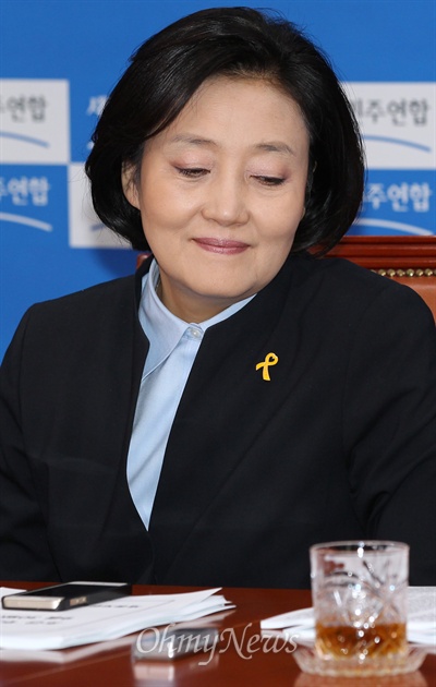  박영선 새정치민주연합 의원