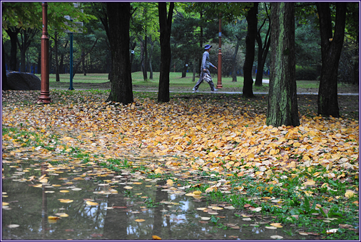 낙엽 쌓인 공원을 산책하는 시민